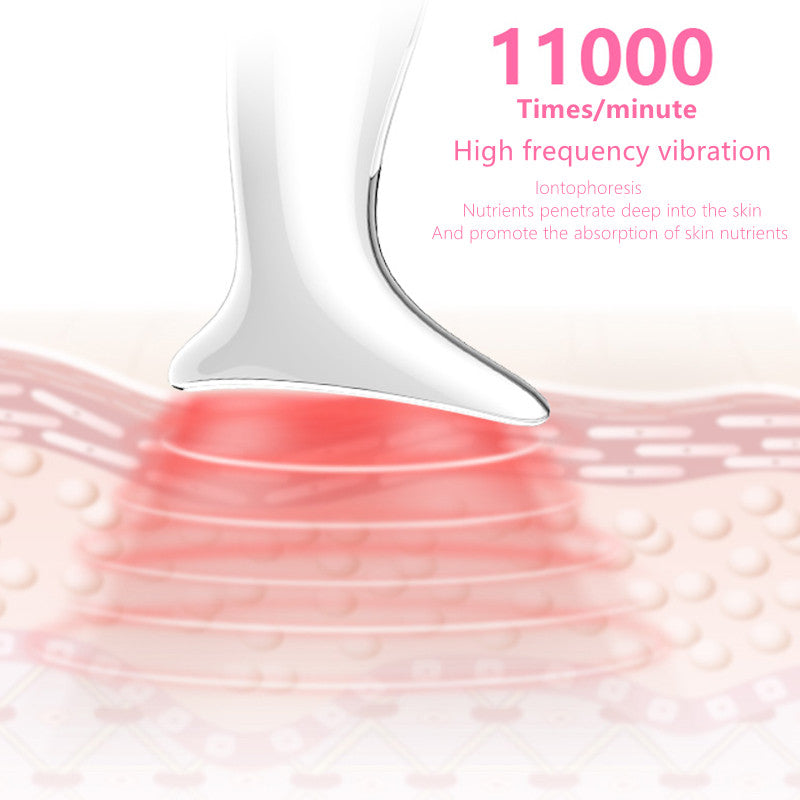 Neck and Face Beauty Device with Light and Warmth