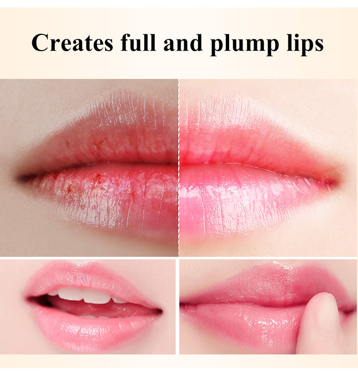 Nolivela Hyaluronic Acid Lip Balm with Jojoba Oil and Beeswax