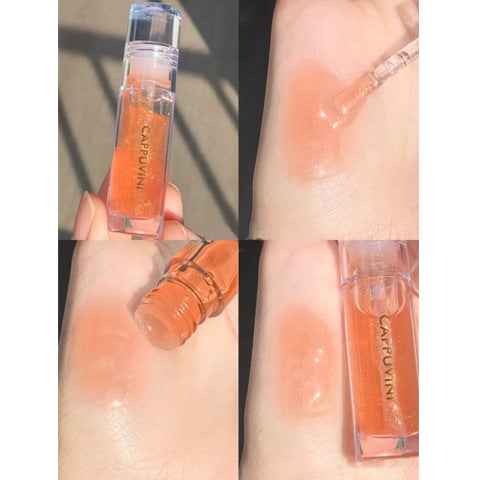 Glossy Moisturising Lip Gloss with a Glass Finish